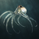 Image for article titled Not even the deepest sea creatures will escape climate change